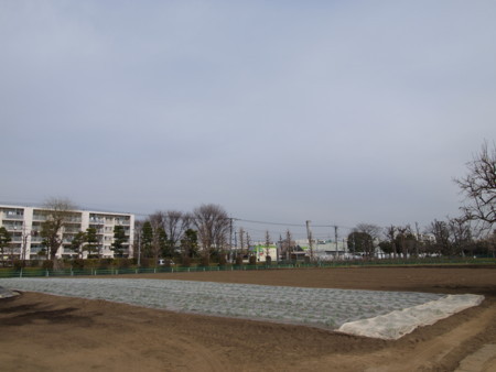 f:id:tanukithi:20180228133822j:image