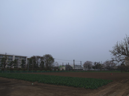 f:id:tanukithi:20180401202720j:image