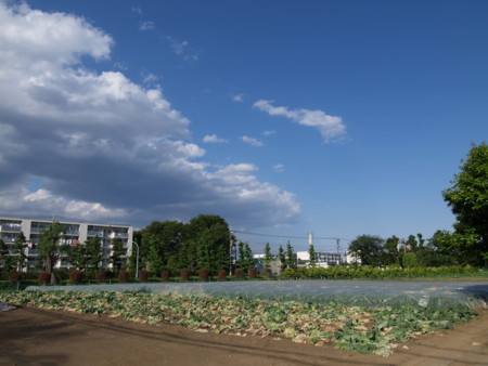 f:id:tanukithi:20180504161156j:image
