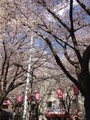20190331144404