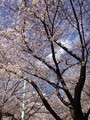 20190331144414
