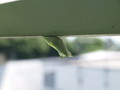 20190619112908