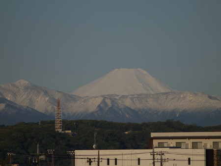 f:id:tanukithi:20200414055243j:plain