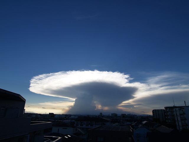 f:id:tanukithi:20200830171948j:plain