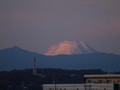 20201215064608