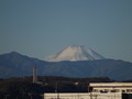 20201231074956