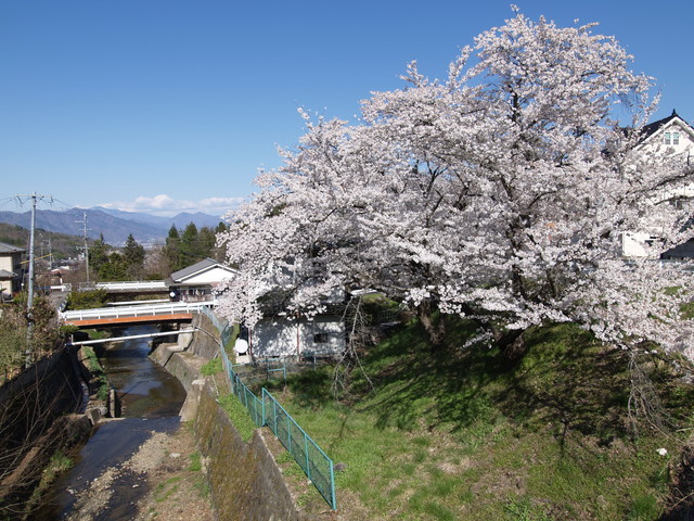 f:id:tanukithi:20210410145323j:plain