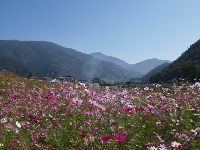 f:id:tanukithi:20211003095335j:plain