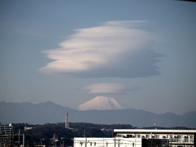 f:id:tanukithi:20211114091133j:plain