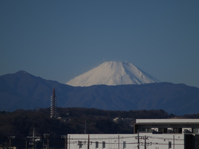 f:id:tanukithi:20220101092039j:plain