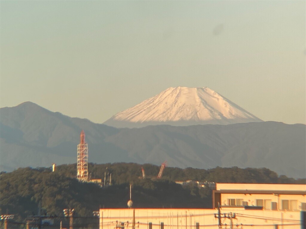 f:id:tanukithi:20231016090952j:image