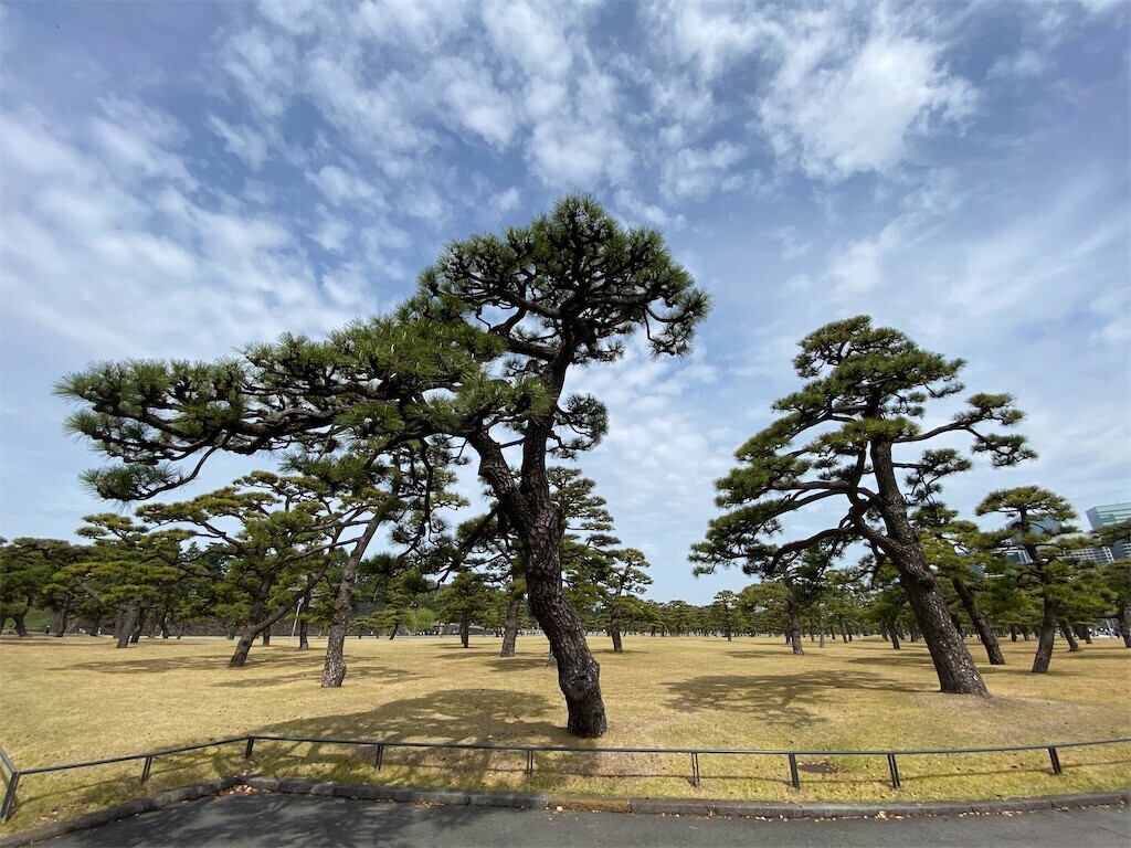 f:id:tanukithi:20240407102658j:image