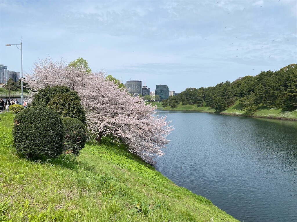 f:id:tanukithi:20240407104305j:image