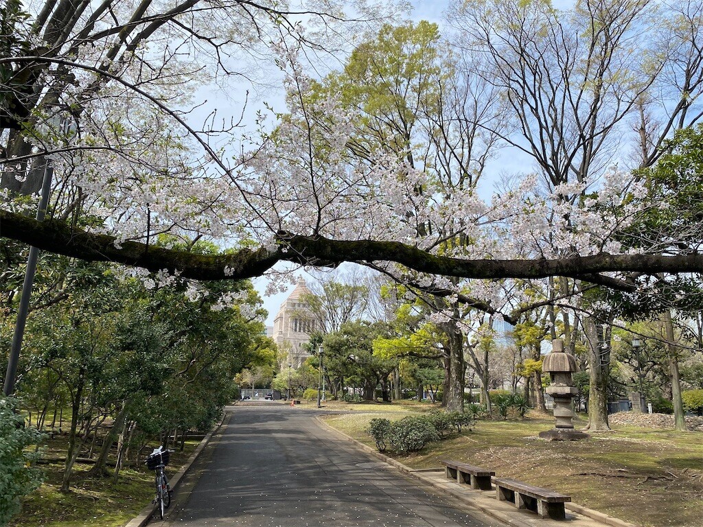 f:id:tanukithi:20240407105126j:image