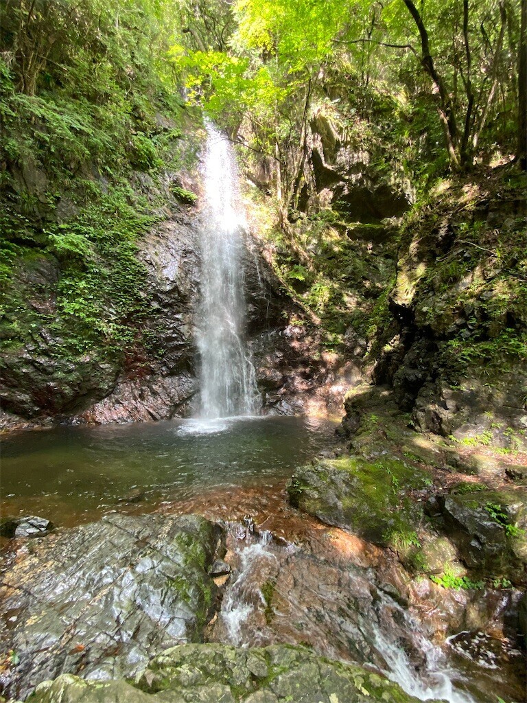 f:id:tanukithi:20240714173500j:image