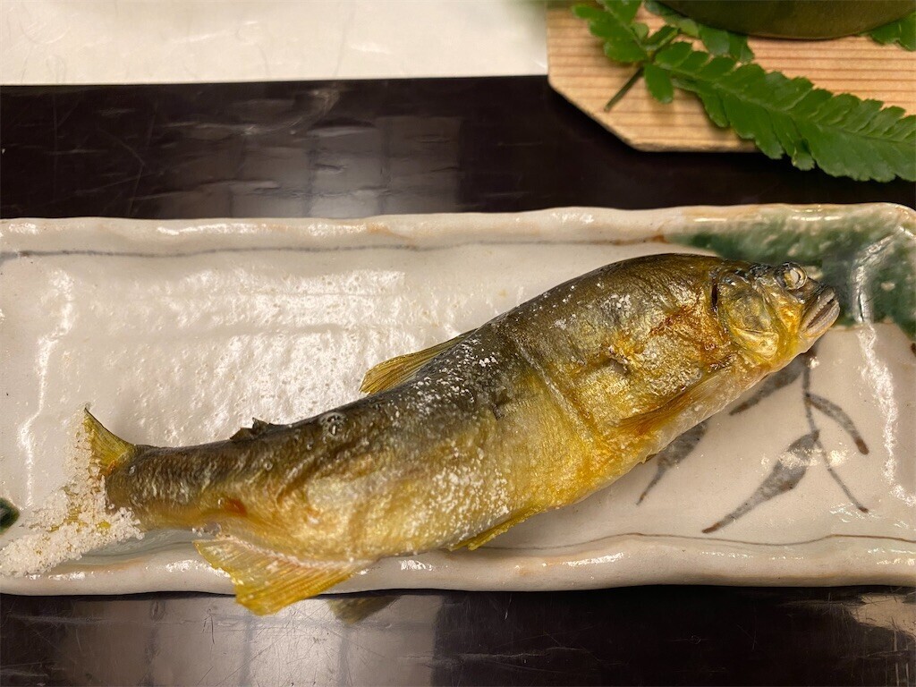 f:id:tanukithi:20240714174510j:image