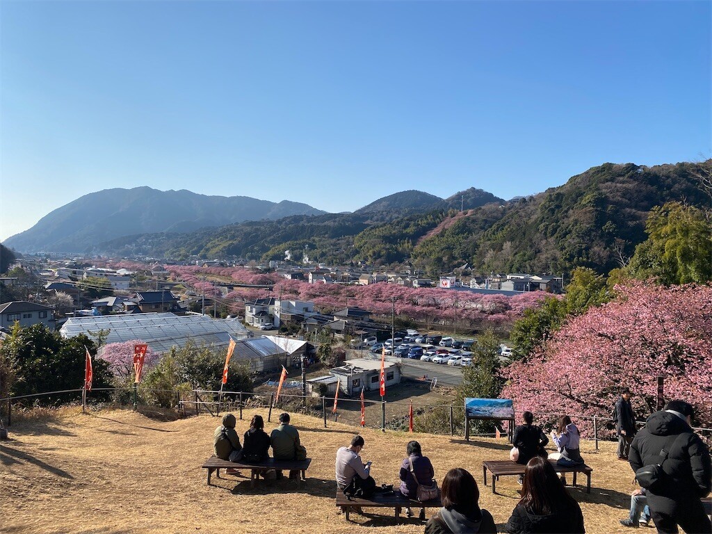 f:id:tanukithi:20250301161451j:image