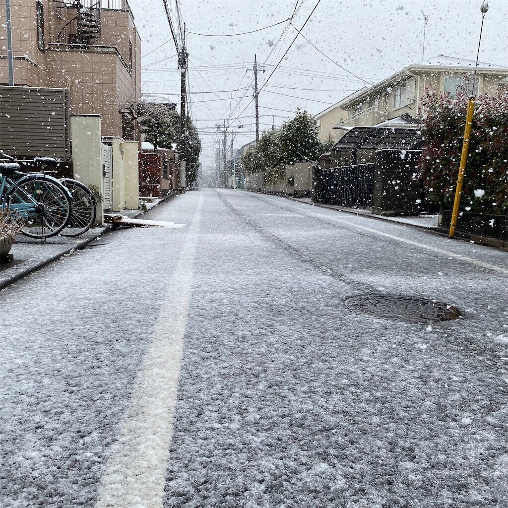 f:id:tanukithi:20250319111444j:image