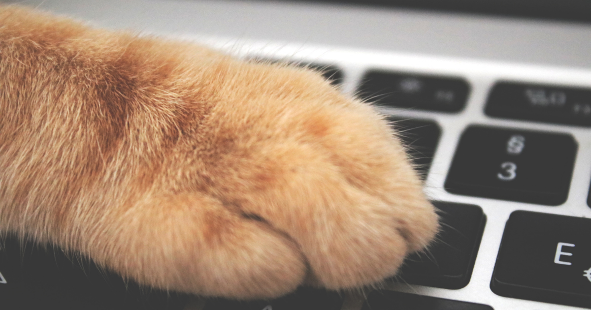 f:id:tanukitsu54:20210701222210p:plain