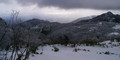 20090124101446