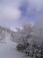 20090124101854
