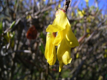 f:id:tanuo:20100314082728j:image f:id:tanuo:20100314082728j:image