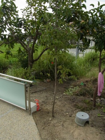 f:id:tanuo:20110902074347j:image f:id:tanuo:20110902074347j:image