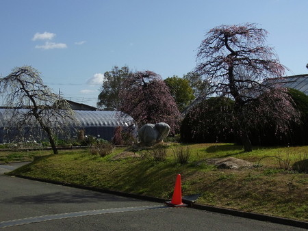 f:id:tanuo:20190308092106j:image f:id:tanuo:20190308092106j:image