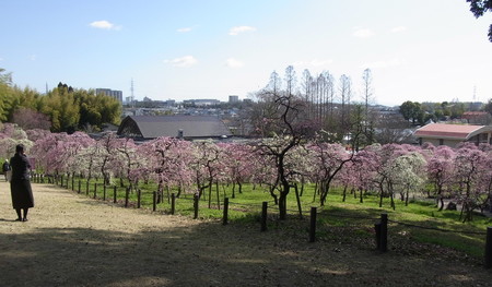 f:id:tanuo:20190308093323j:image f:id:tanuo:20190308093323j:image