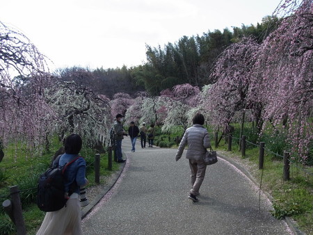 f:id:tanuo:20190308093548j:image f:id:tanuo:20190308093548j:image