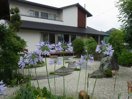 f:id:tanuo:20190703113508j:image