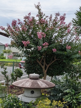 f:id:tanuo:20210710144702j:plain