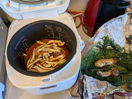 f:id:tanuo:20211018102834j:plain