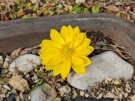 f:id:tanuo:20220215125831j:plain