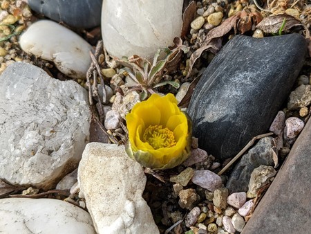 f:id:tanuo:20220215125903j:plain