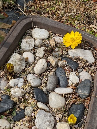 f:id:tanuo:20220215125924j:plain