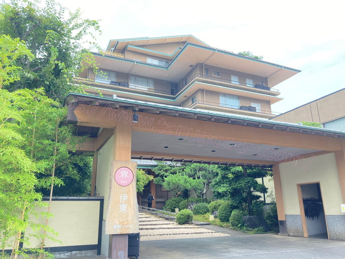 星野リゾート 界 伊東 宿泊記|温泉・和モダン客室・会席料理を堪能する癒し旅 - 脱たぬきブログ