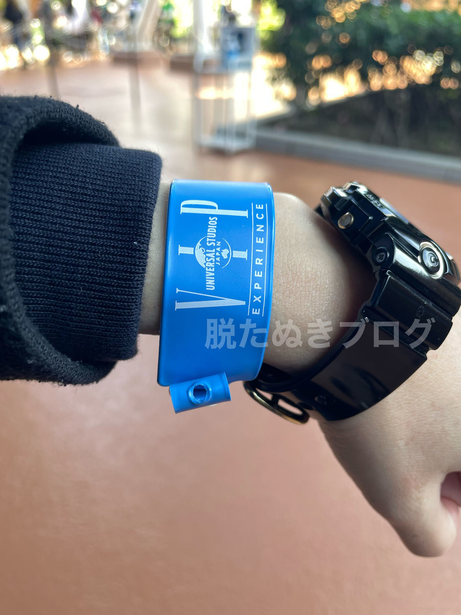 USJプライベートツアー体験談｜5時間VIPエクスペリエンスで得られる