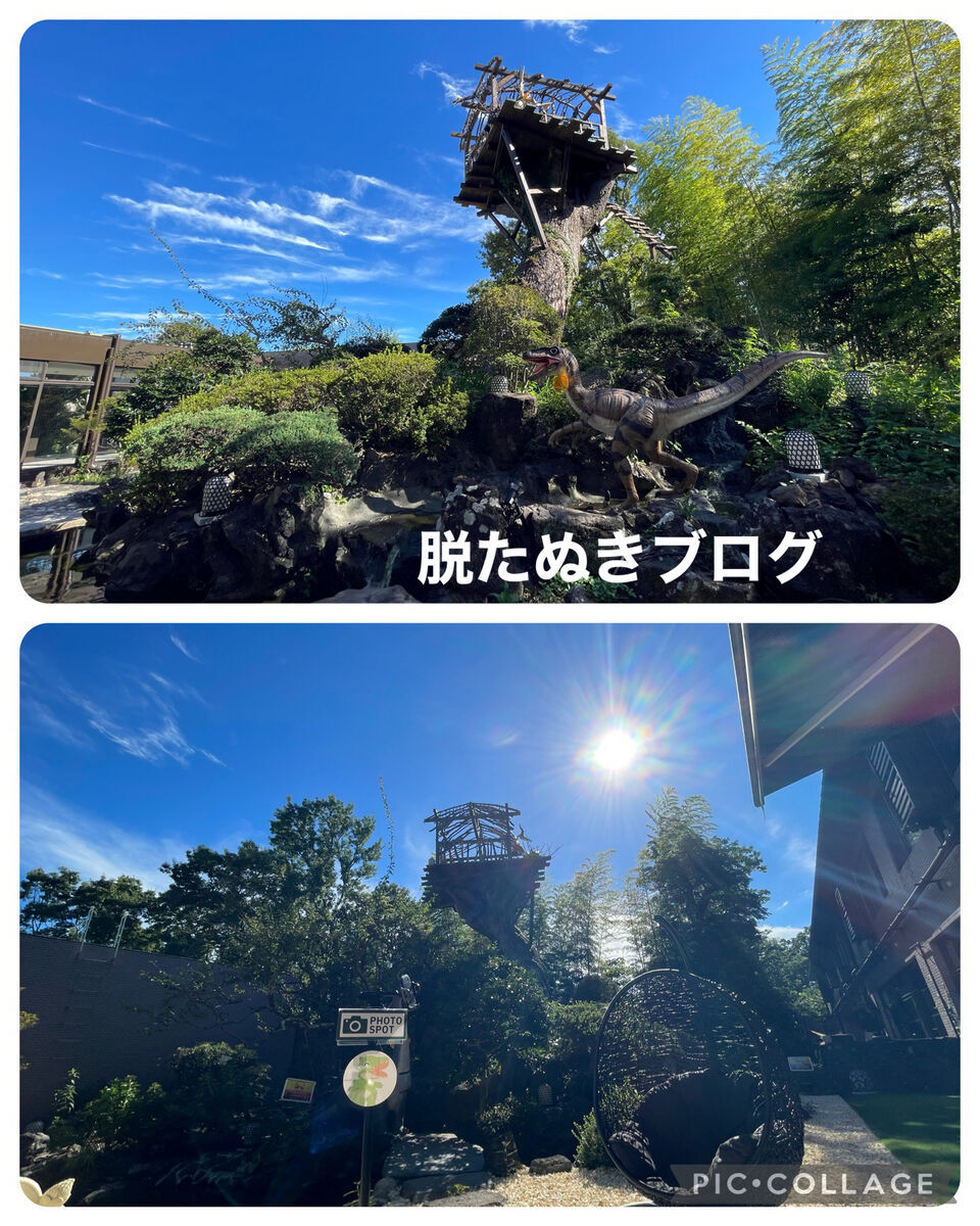客室から見えた大きい木や恐竜の置物
