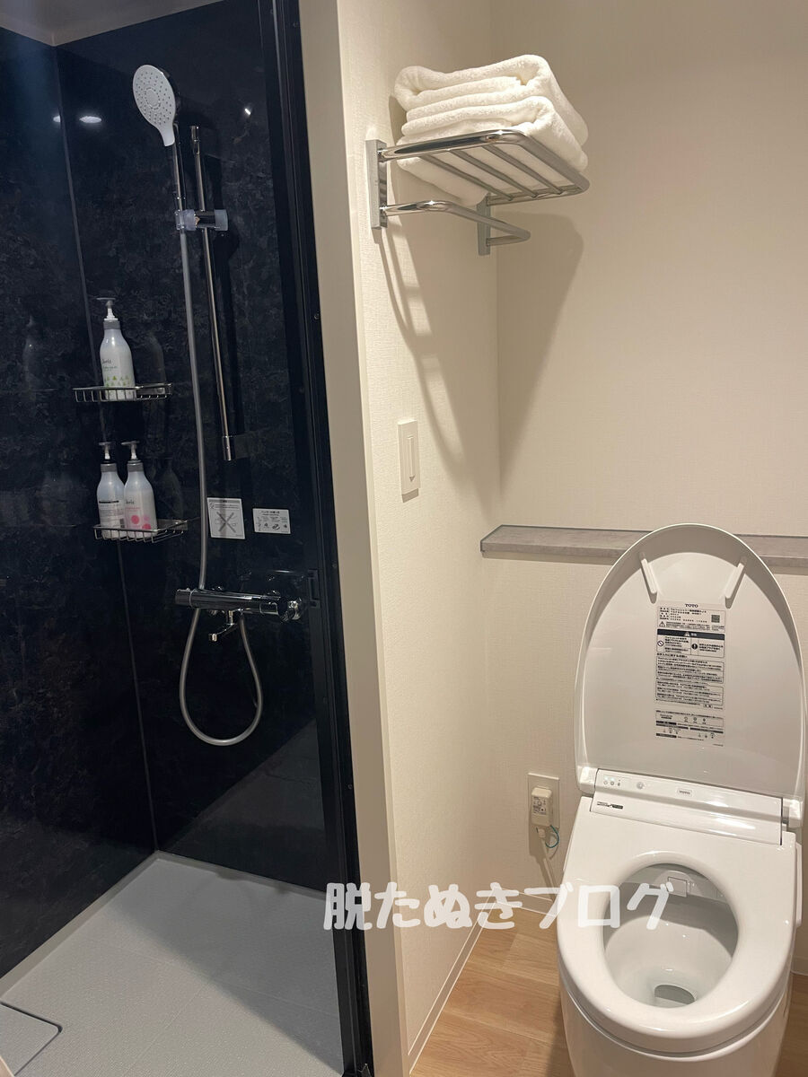 客室内のシャワーブースの様子（トイレ横）