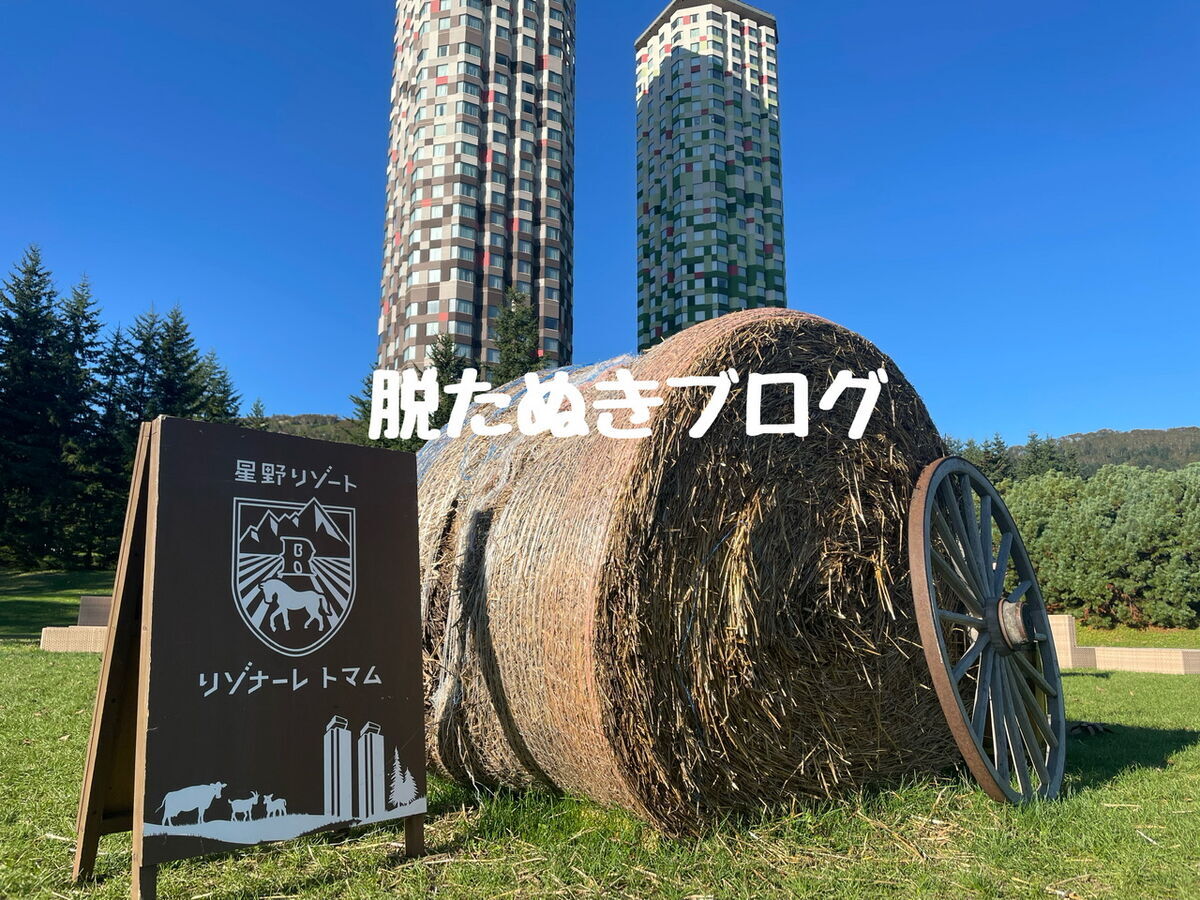 星野リゾート・トマム・ザ・タワー　屋外から撮影
