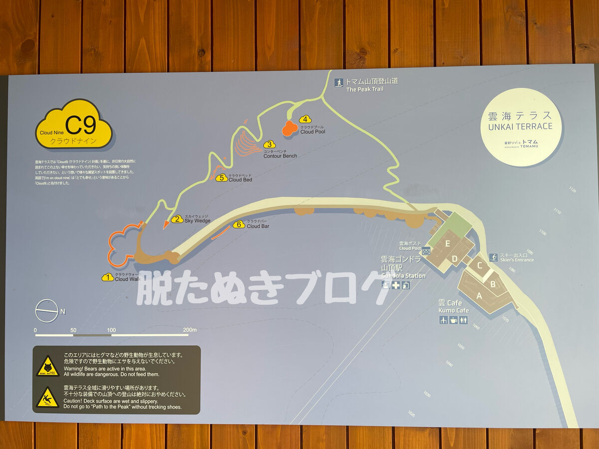 フォトスポットを周った後、ゴンドラ乗り場へ戻る道中の風景