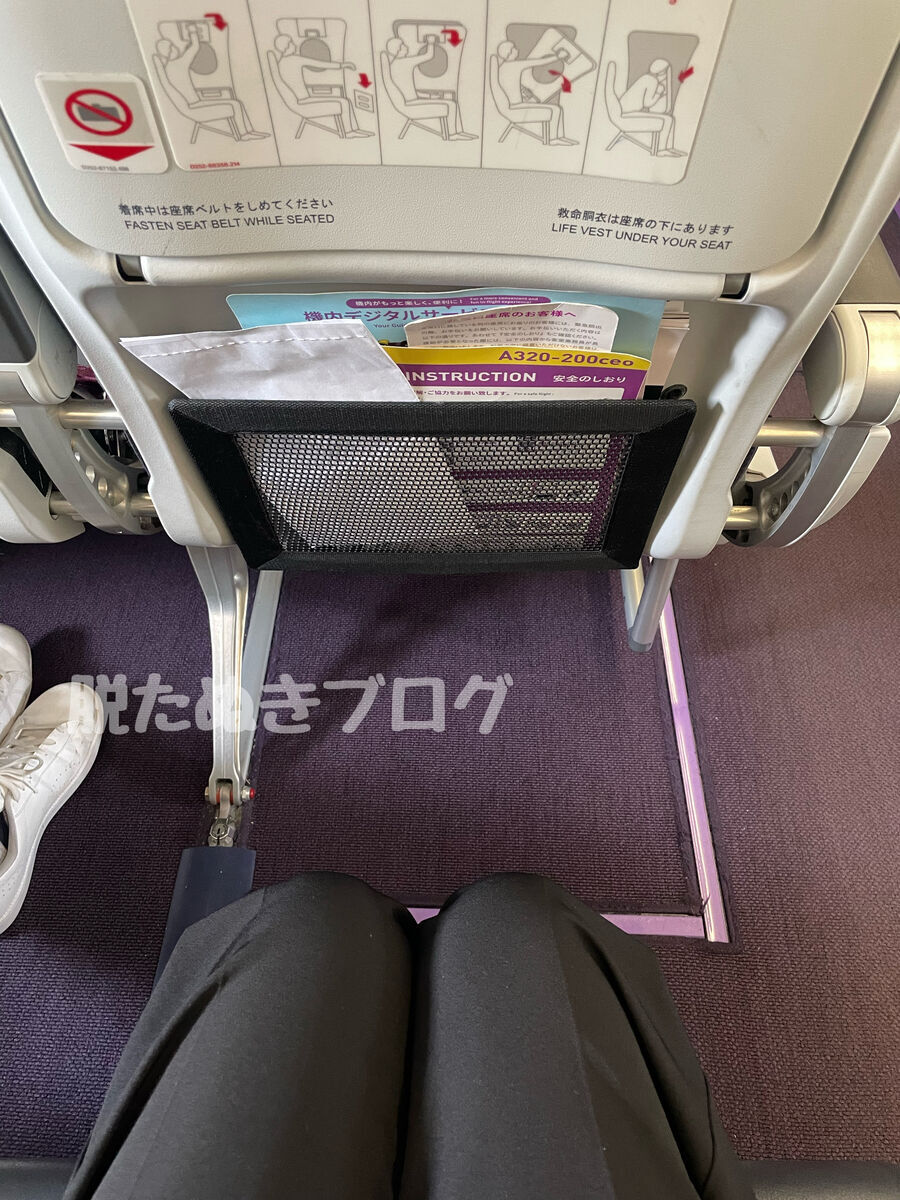 LCC格安航空ピーチ　スマートシートの座った様子