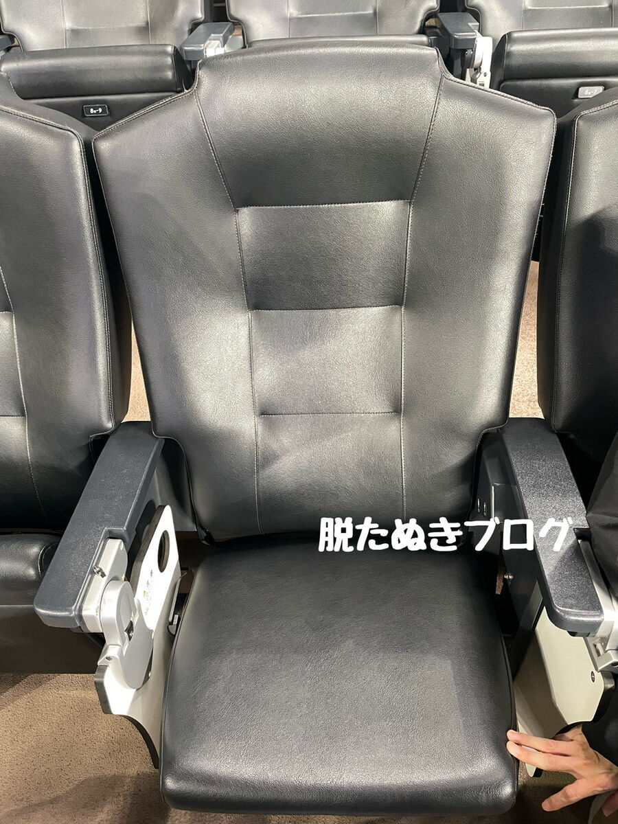 クラブシートはクッションや肘置きがあるゆったりシート
