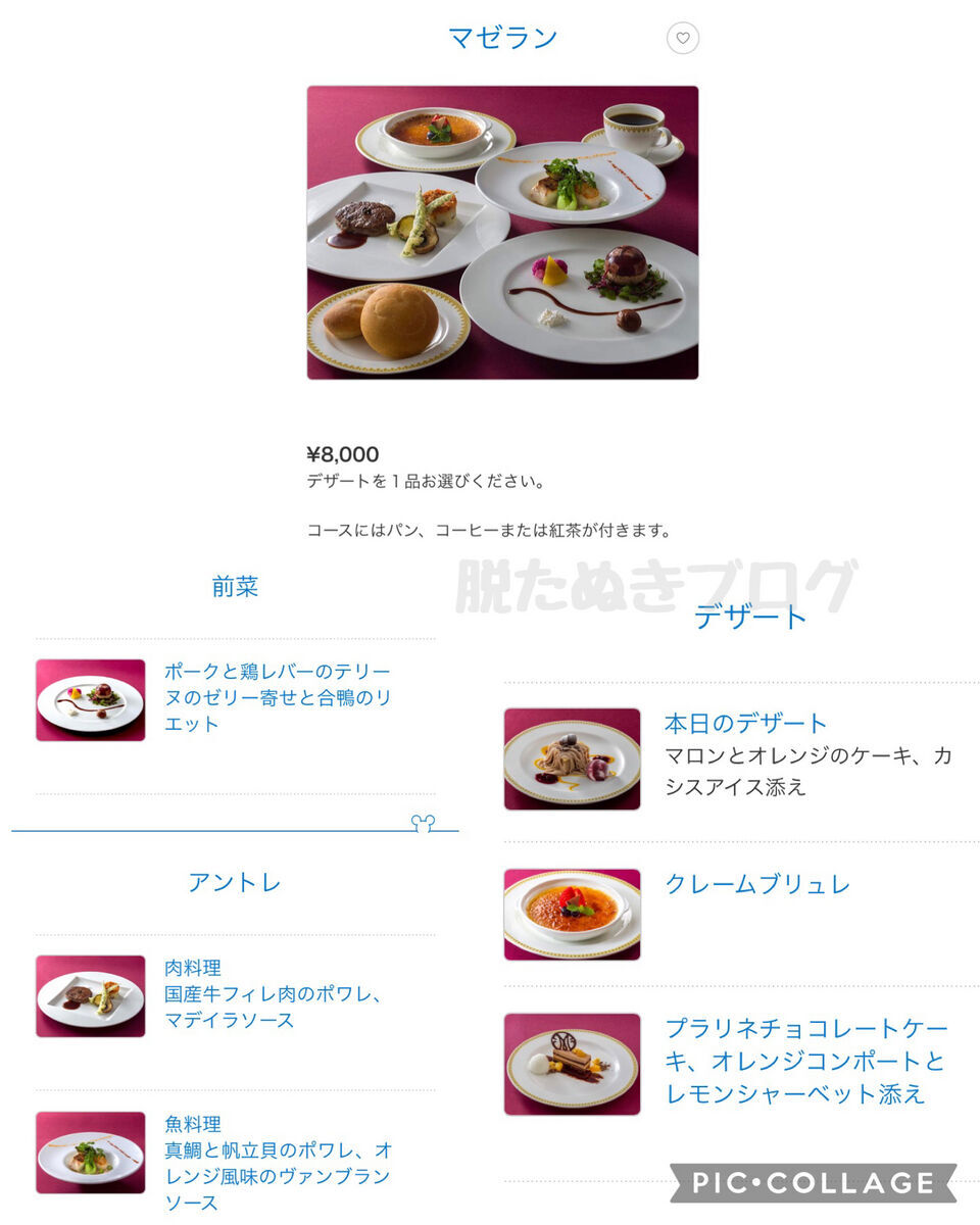 マゼランのメニューと料理の内容