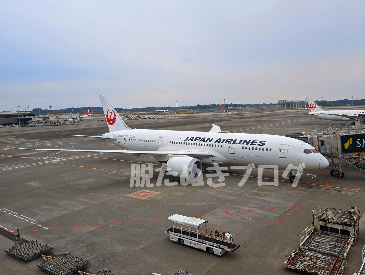 JAL 飛行機の様子