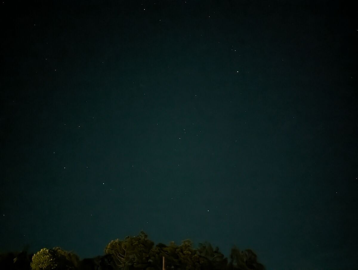 熊野倶楽部の夜は星空も楽しめる。