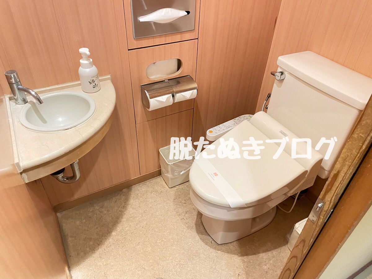 トイレは手洗い場つき