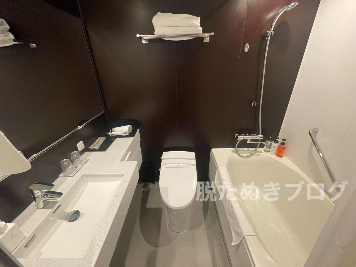 広々としたユニットバスと洗面スペース付き客室