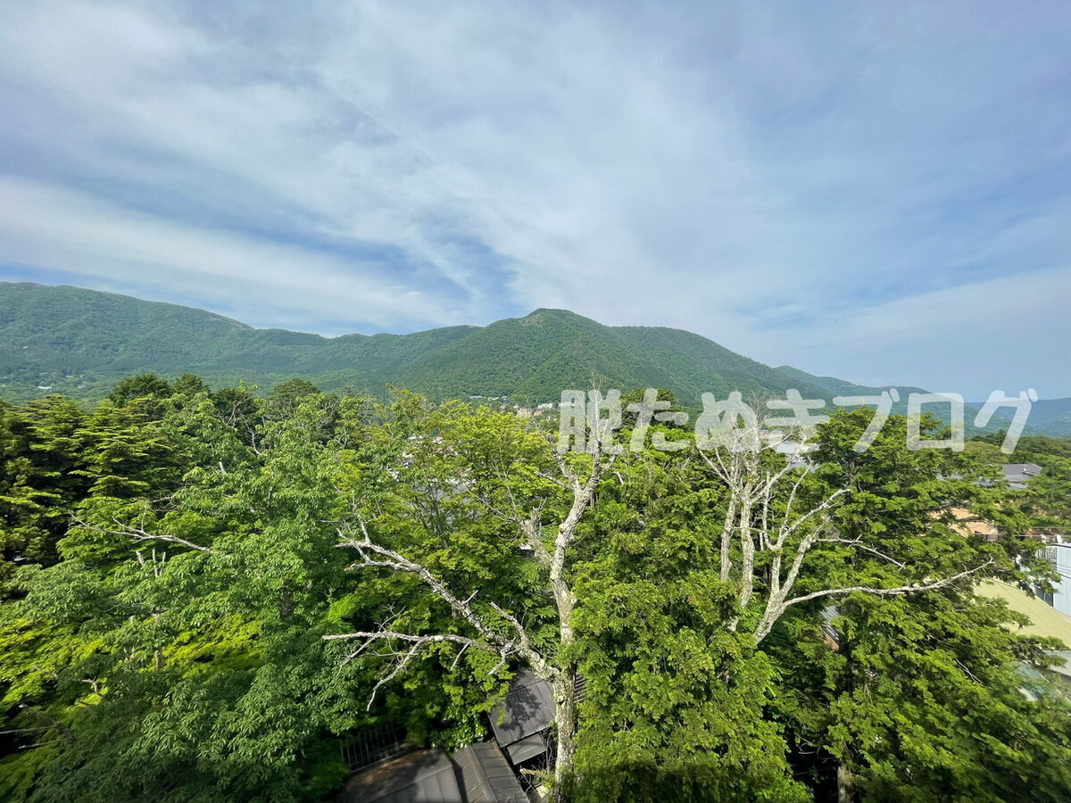 4階客室 眺め 木よりも高いから景観良い